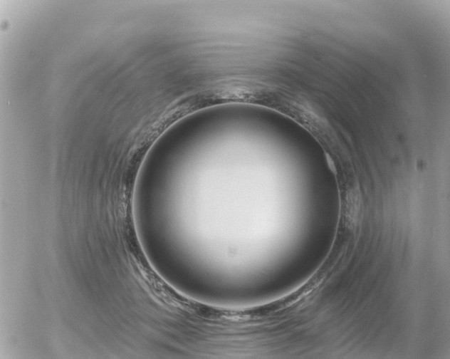 X0000055990413200508261729