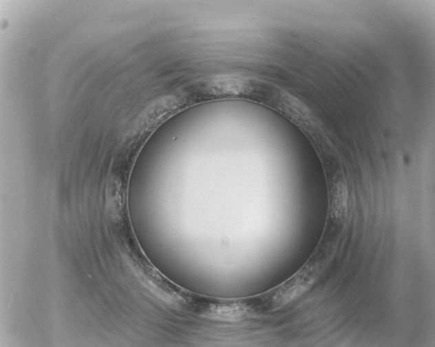 X0000055990414200508261729