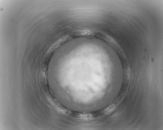 X0000055990415200508261729