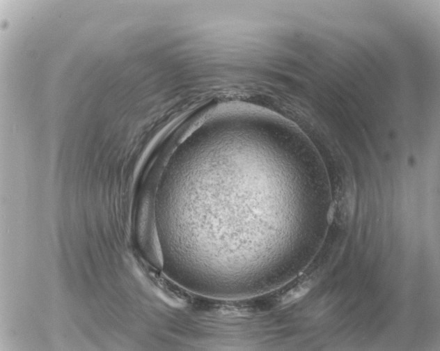 X0000055990416200508261729