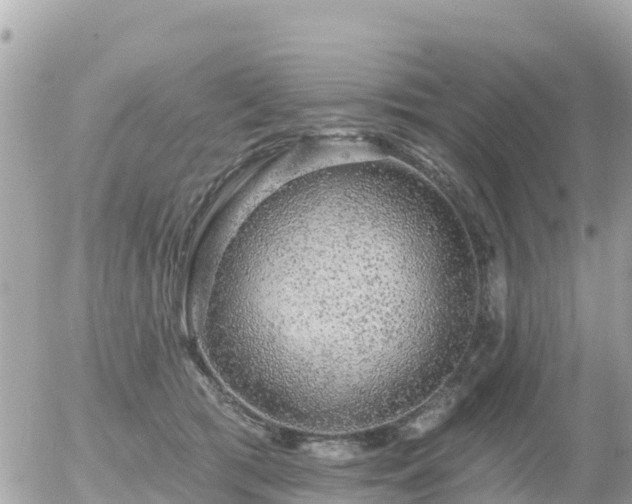 X0000055990417200508261729