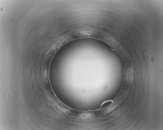 X0000055990418200508261729