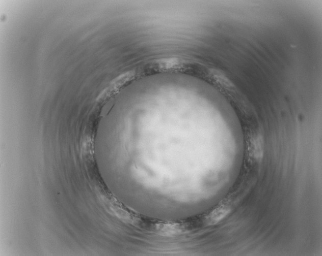 X0000055990419200508261729