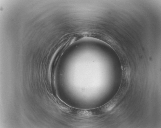 X0000055990421200508261729