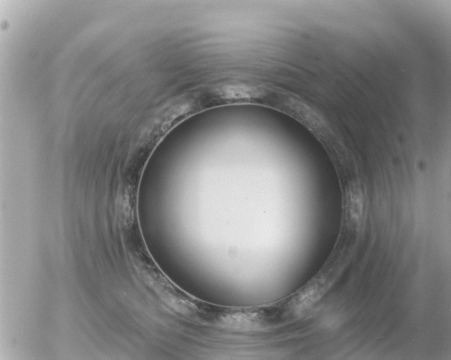 X0000055990422200508261729