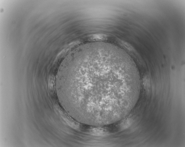 X0000055990423200508261729