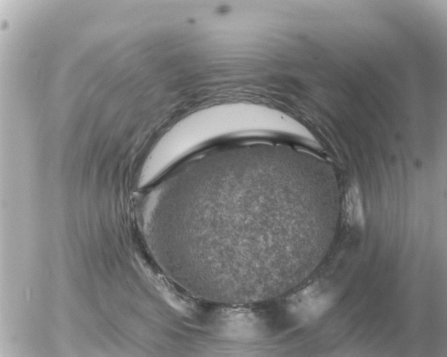 X0000055990424200508261729