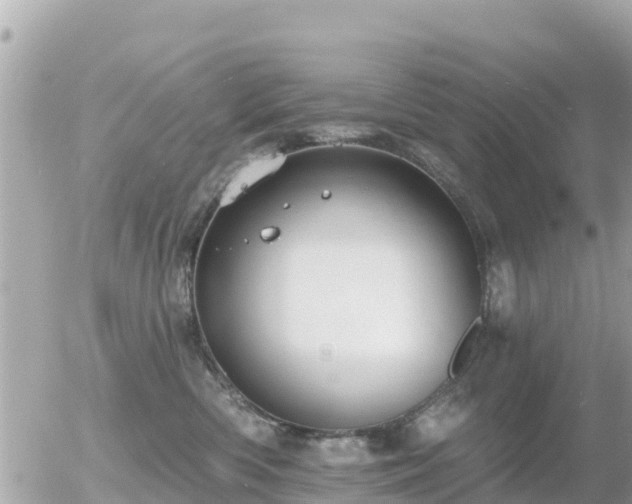 X0000055990426200508261729