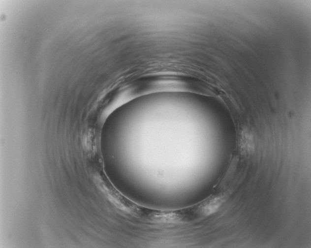 X0000055990428200508261729