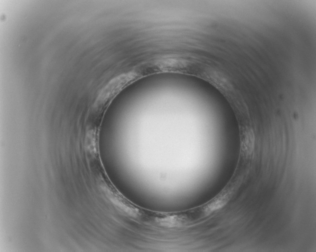 X0000055990430200508261729