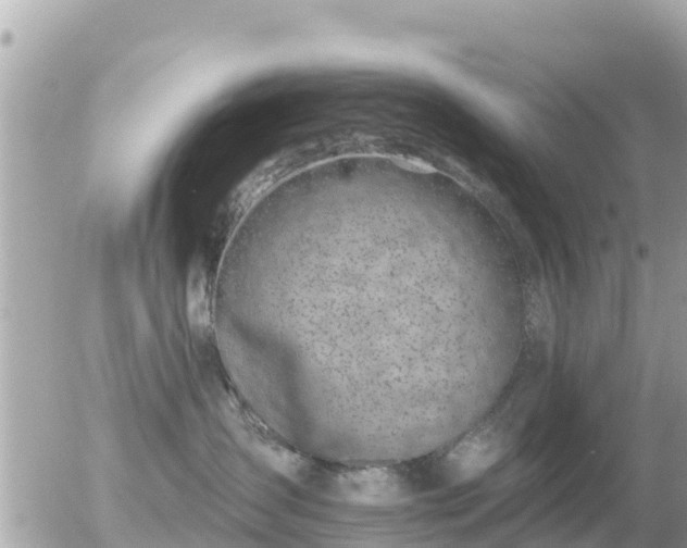 X0000055990431200508261729