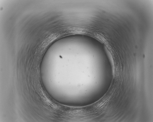 X0000055990433200508261728