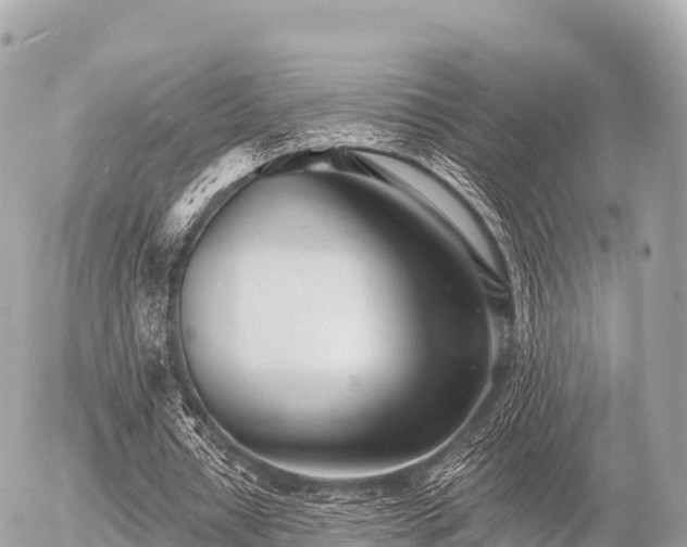 X0000055990434200508261728