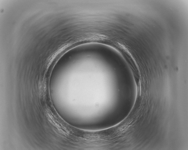 X0000055990435200508261728