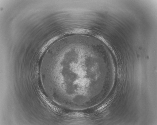 X0000055990437200508261728