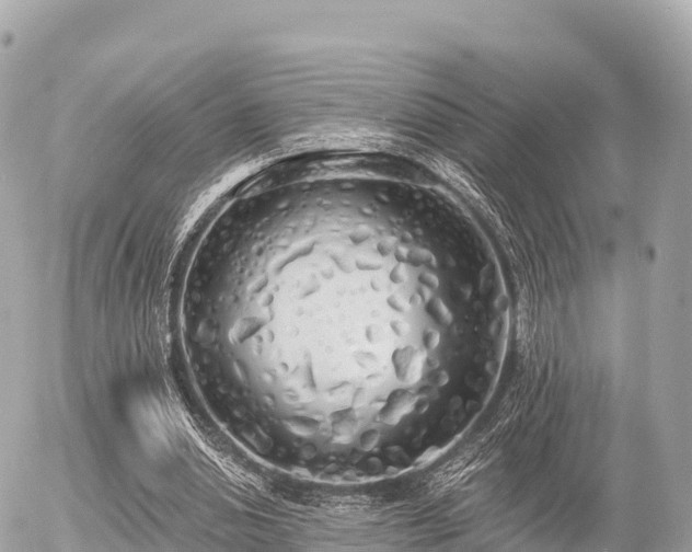 X0000055990438200508261728