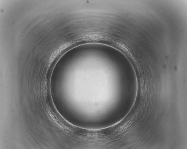 X0000055990439200508261728