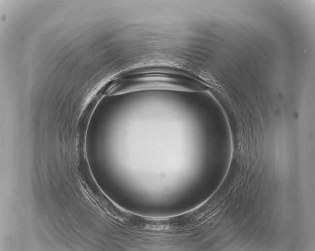 X0000055990440200508261728