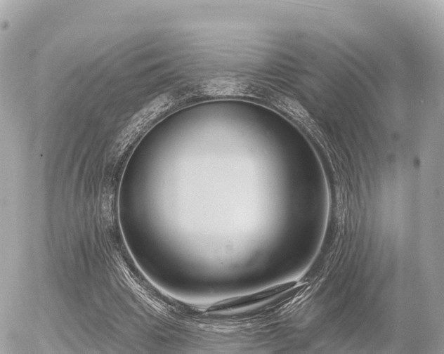 X0000055990441200508261728