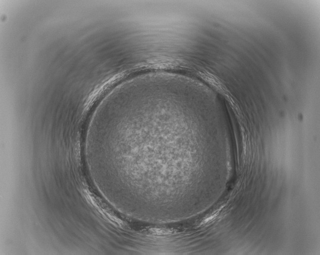 X0000055990442200508261728