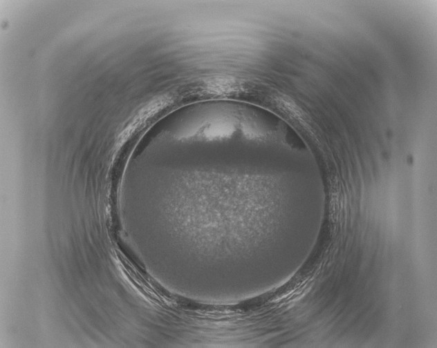 X0000055990443200508261728