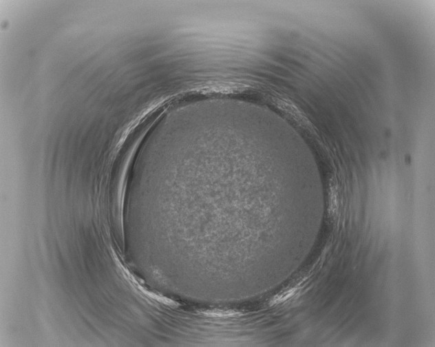 X0000055990444200508261728