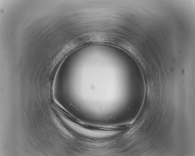 X0000055990445200508261728