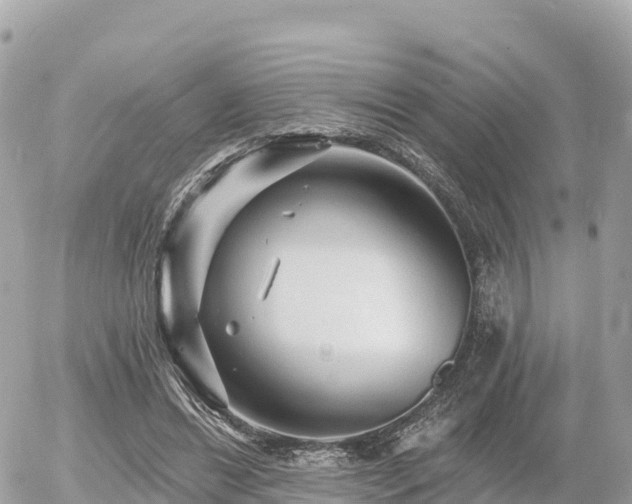 X0000055990446200508261728