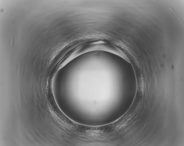 X0000055990448200508261728