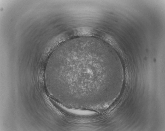 X0000055990449200508261728