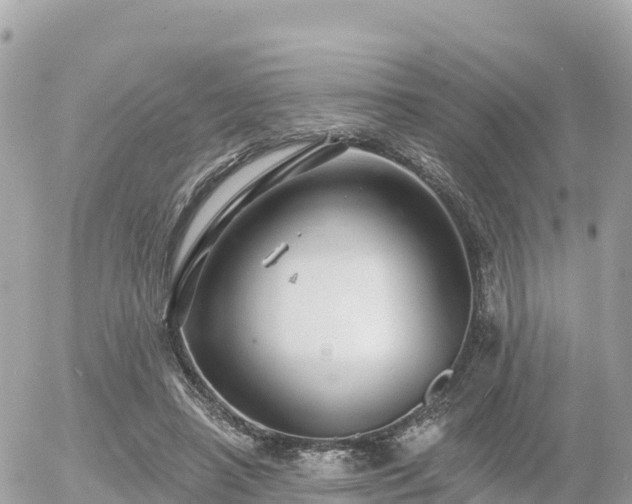 X0000055990450200508261728