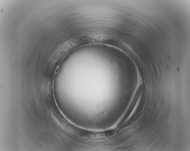 X0000055990451200508261728