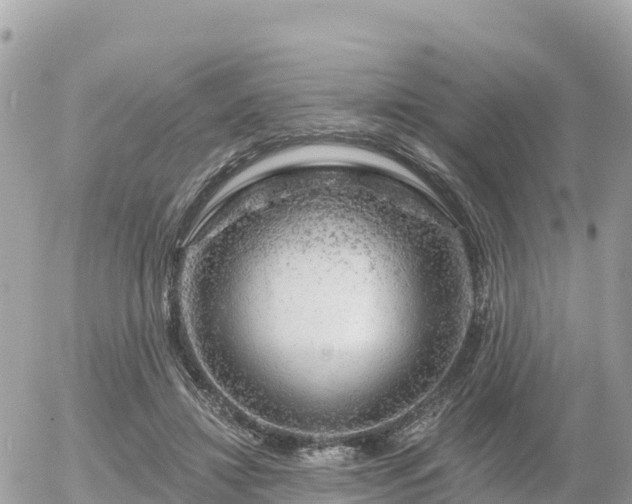 X0000055990452200508261728