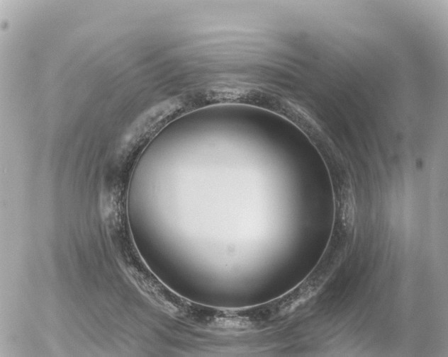 X0000055990455200508261728