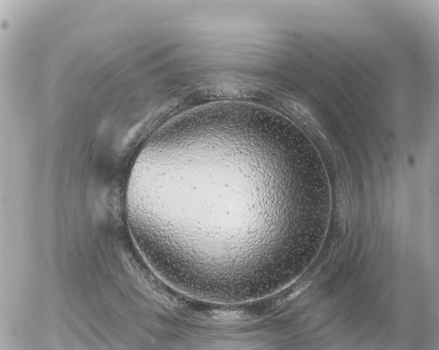 X0000055990457200508261728