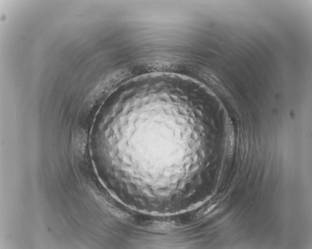 X0000055990458200508261728