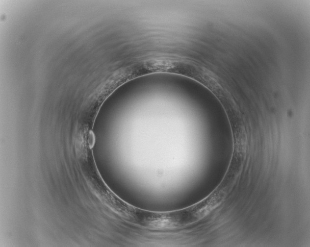 X0000055990460200508261728