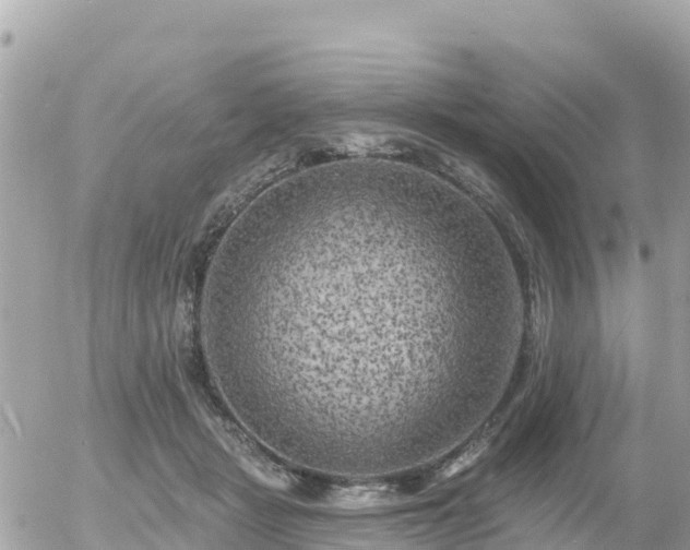 X0000055990461200508261728