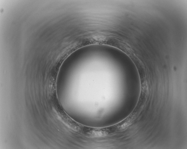 X0000055990464200508261729