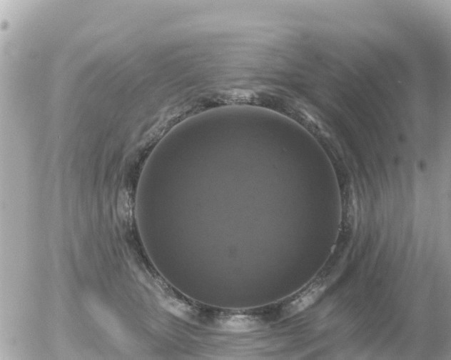 X0000055990467200508261729