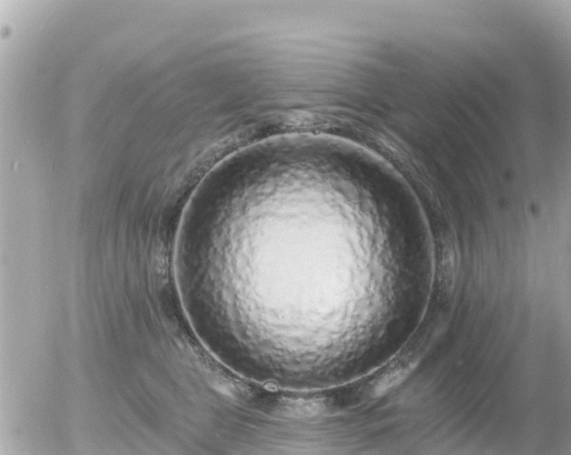 X0000055990469200508261729