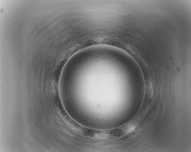 X0000055990470200508261729