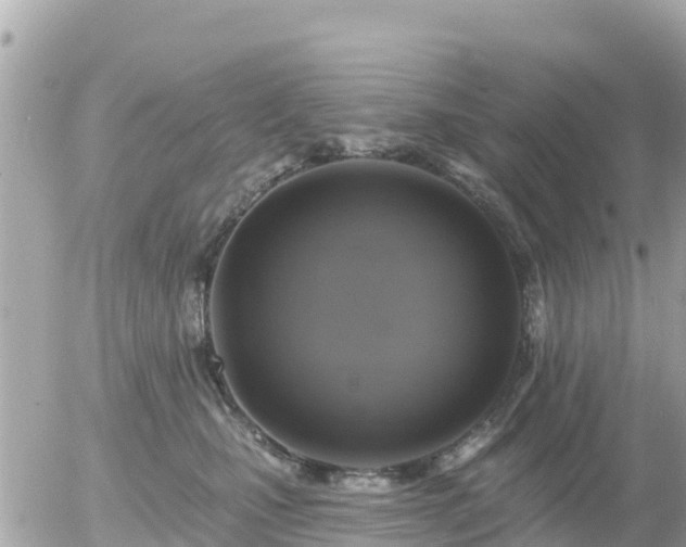 X0000055990471200508261729