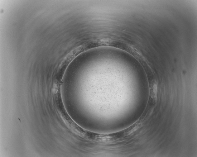 X0000055990472200508261729