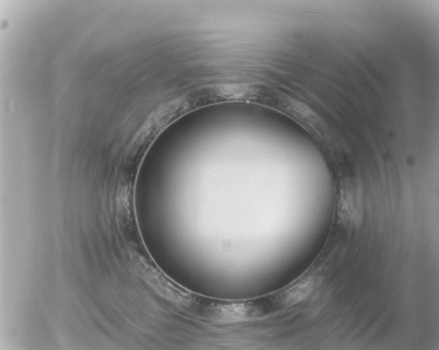 X0000055990473200508261729