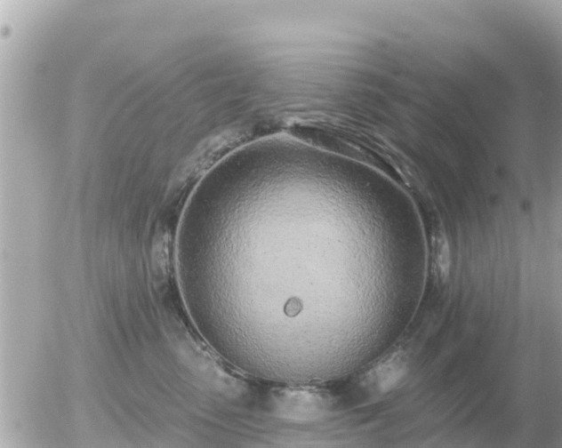 X0000055990475200508261729