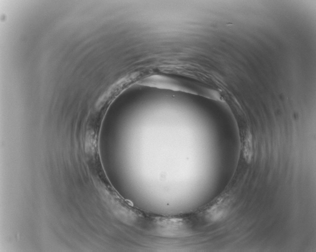 X0000055990476200508261729