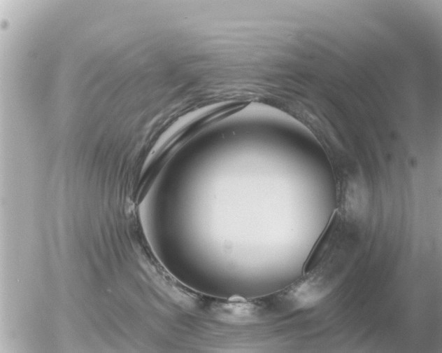 X0000055990478200508261729