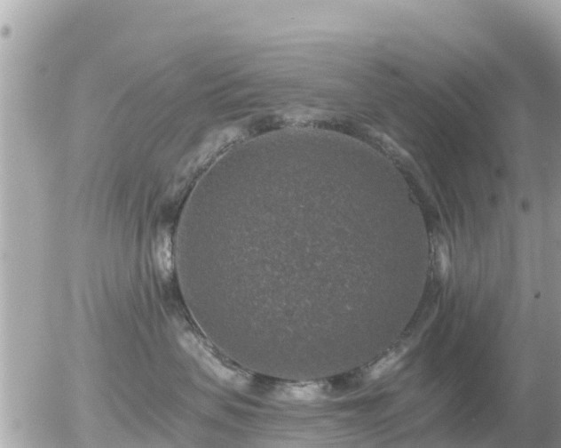 X0000055990479200508261729