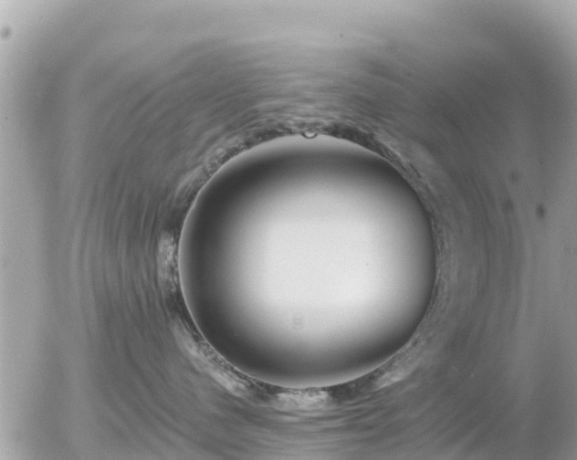 X0000055990480200508261729